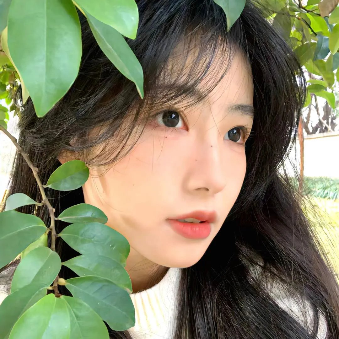 姐妹双行之巴黎护照